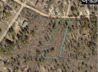 125 Ann St, Pelion, SC 29123