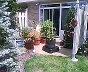 Rear Patio