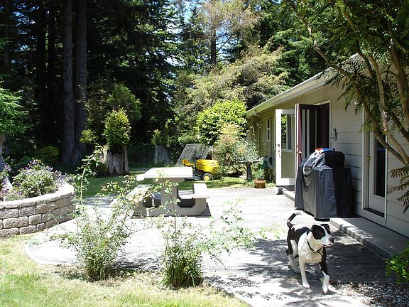 Beautiful Japenese Landscaping in Back Yard