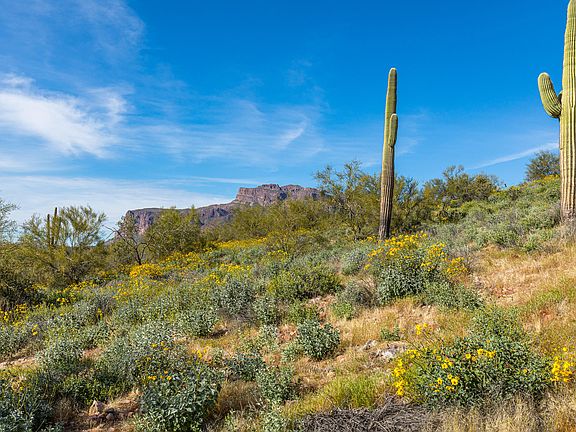 3rd image of 3933 S Avenida De Angeles Lot 105