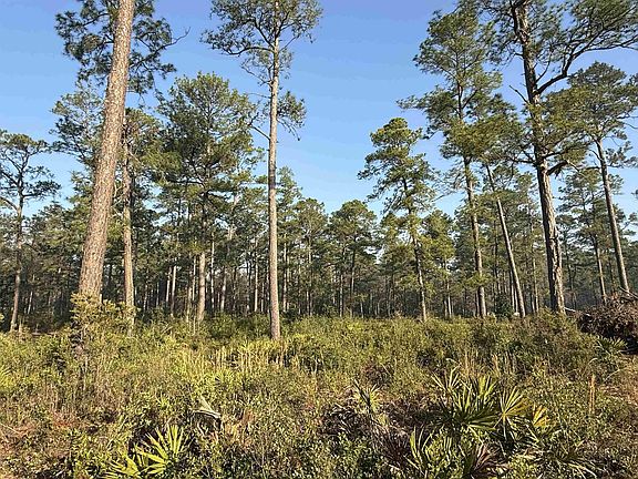 4th image of LOT 81 Proctor Rd