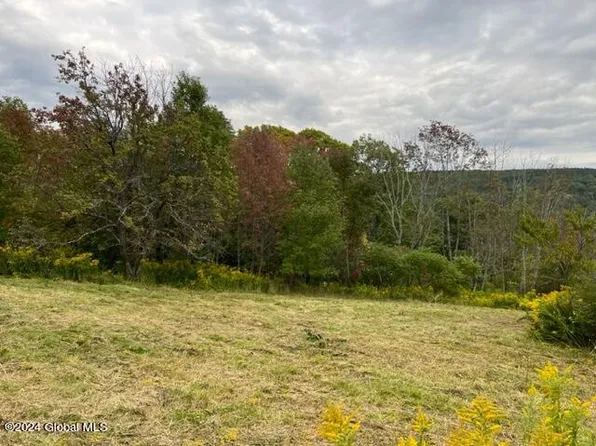 L8 Highview Road, Richmondville, NY 12149