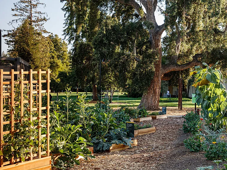 Mansion Grove — Photo 9