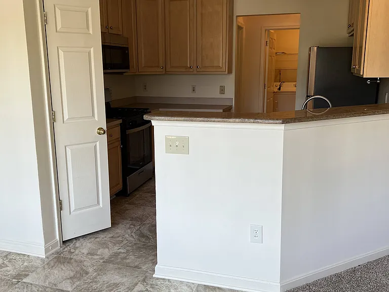 439 Hopkins Landing Dr — Photo 10