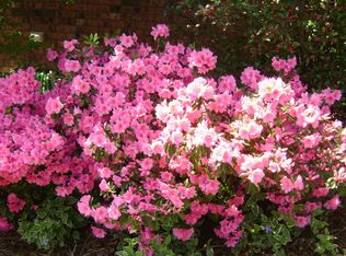 807 Meadow Ridge Ln, Birmingham, AL 35242