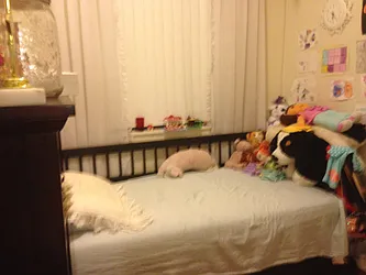 Rented by Prince Real Estate Associates LLC