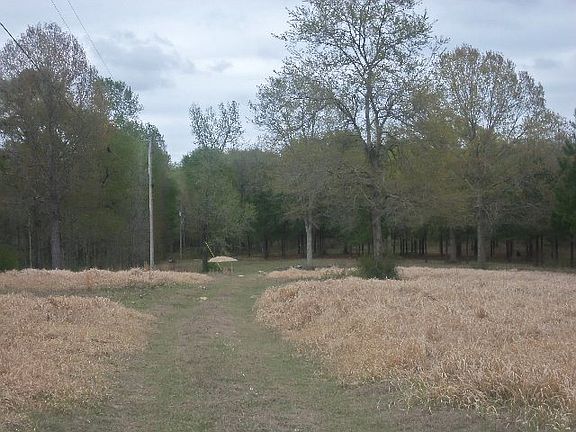 4th image of 51 Gena Dr