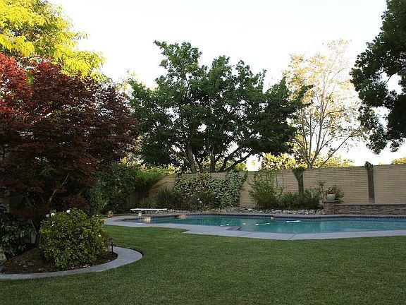 Backyard w/Solar Pool