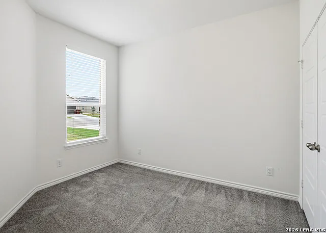 11634 Black Rose — Photo 24