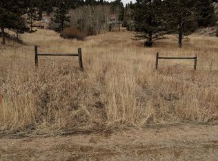 242 Horn Peak Dr, Livermore, CO 80536