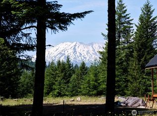 2 Phyllis Ann Block Court, Cougar, WA