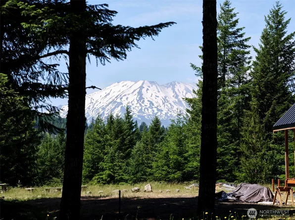 2 Phyllis Ann Block Court, Cougar, WA 98616