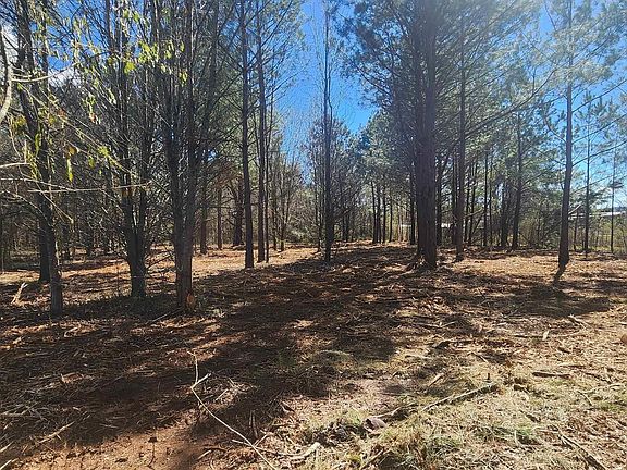 5th image of 125 Acuff Rd