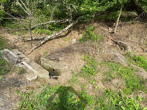 3rd image of 171 Edwards Ln