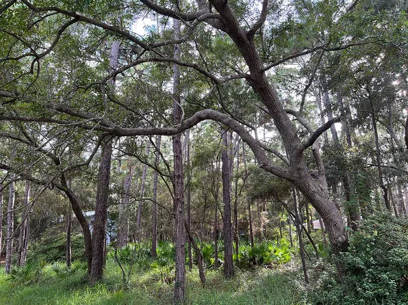 1001 McIntosh Pl, Dauphin Island, AL 36528