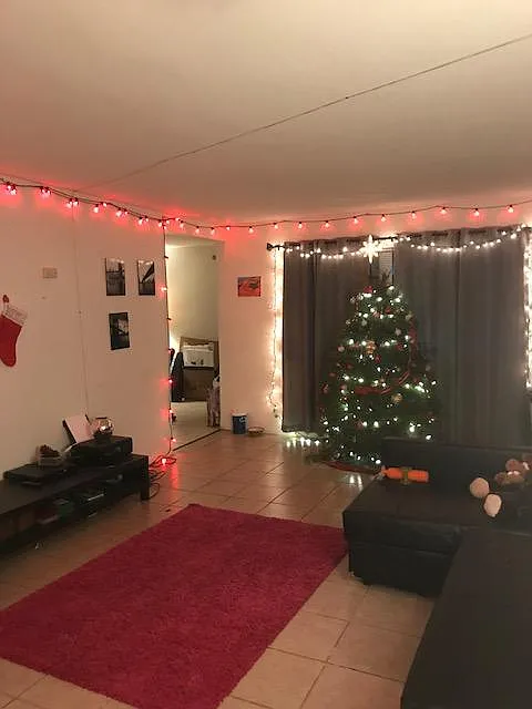 2 bed, 1065 sqft, $2,199 — Photo 3