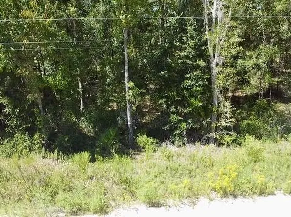 NE 110th Ct #5, Williston, FL 32696