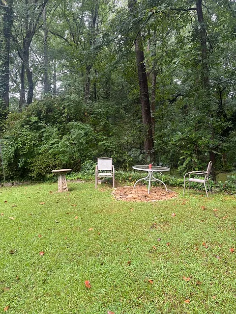 3 bed, 1600 sqft, $2,850 — Photo 3