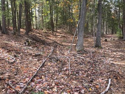 Misery Bay Road 40.71 Acres, Alpena, MI, 49707