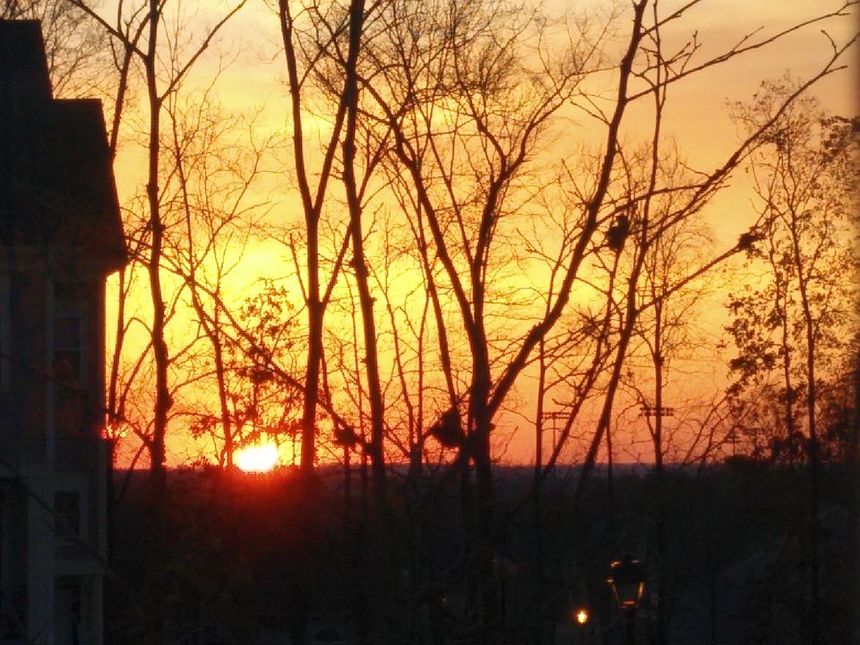 Morning Sun Rise in Winter