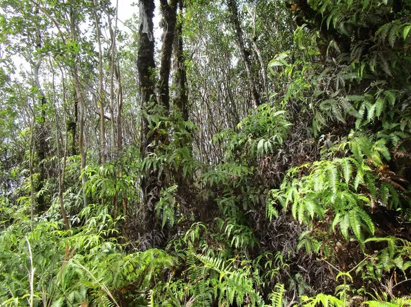 Naia St Lot 20, Mountain View, HI 96771