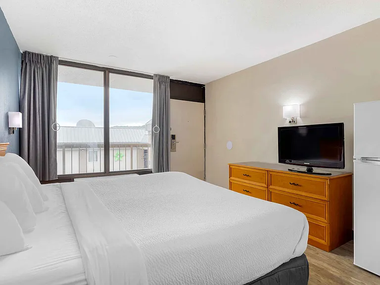 Studio Suite - 1 King Bed