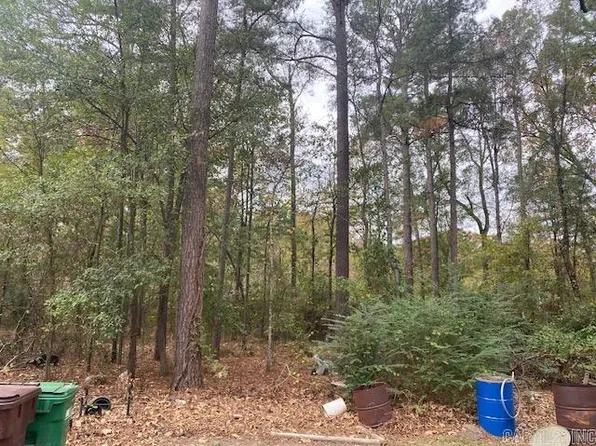 Oo Betty St, White Hall, AR 71602