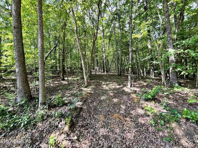 LOT 2 Raby Hollow Rd, Kingston, TN, 37763