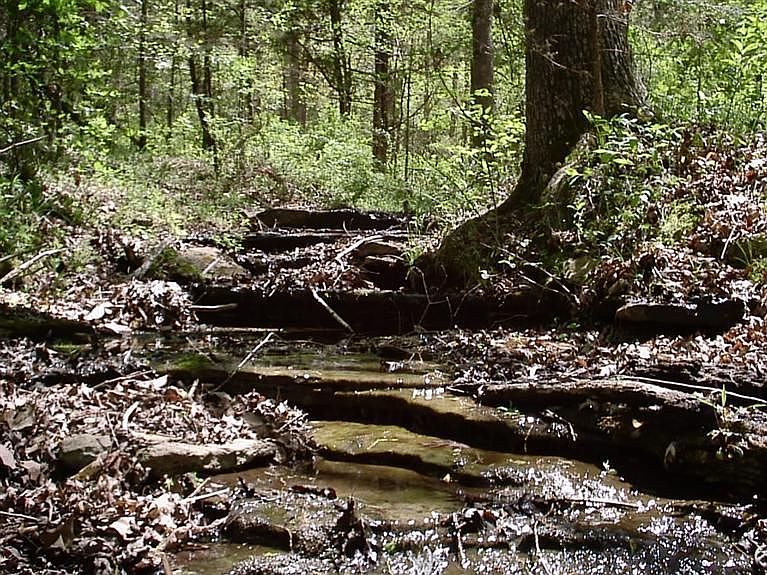 2nd image of 1310 McCall Bridge Rd