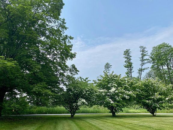 Trees in every direction