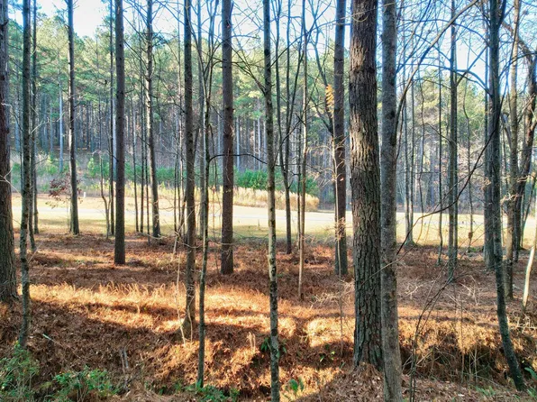 LT48 1300th, Blairsville, GA 30512