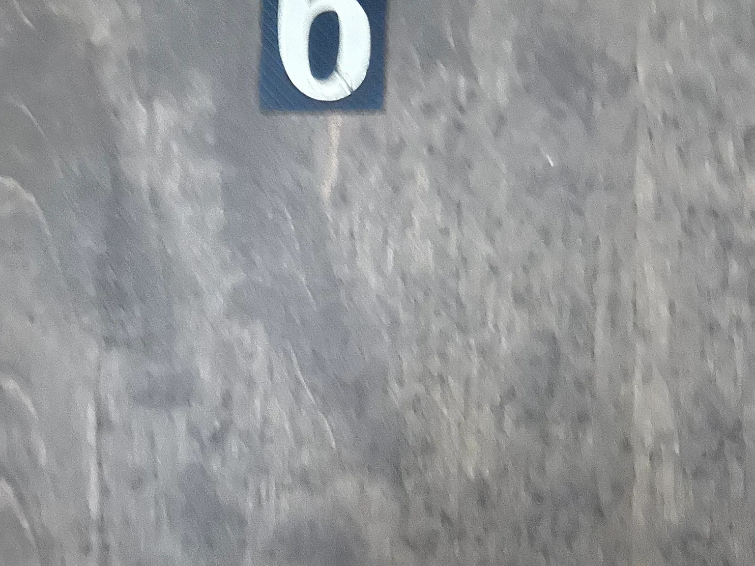 1 bed, 800 sqft, $1,250 — Photo 2