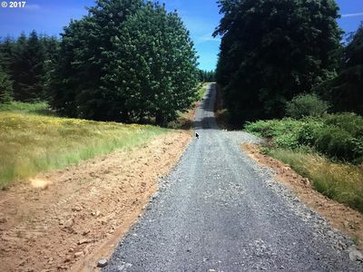 60961 Robinette Rd, Saint Helens, OR, 97051