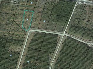 0 Satilla Plantation, Waynesville, GA 31566