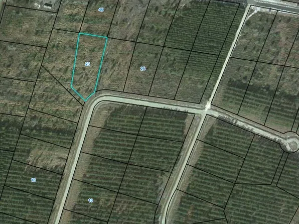 0 Satilla Plantation, Waynesville, GA 31566