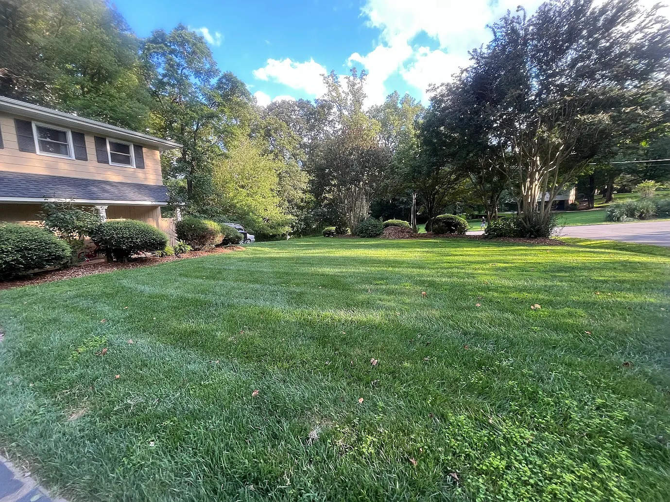 4 bed, 2.5 bath, 3000 sqft, $5,475 — Photo 2