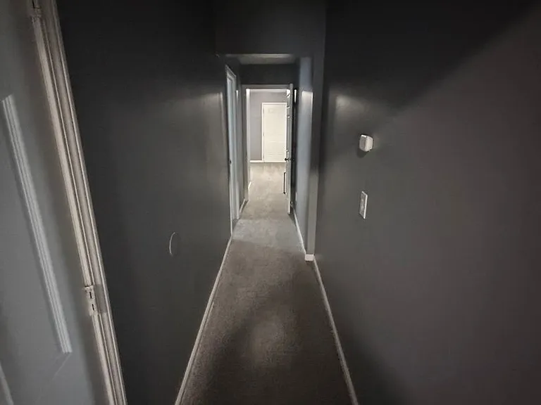 1301 Lillian Ave — Photo 5