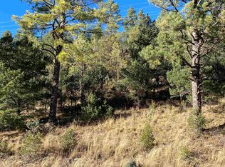 LOT 1 1a Hwy #82, Mayhill, NM 88339