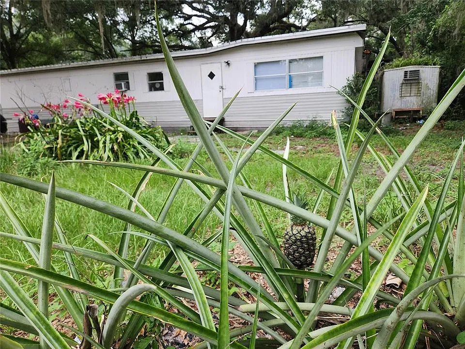 24815 Audrey Rd