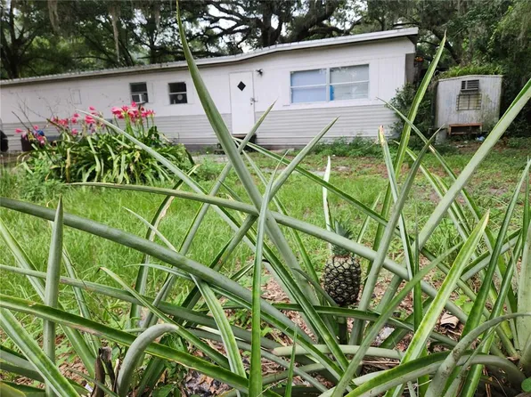 24815 Audrey Rd, Land O Lakes, FL 34639