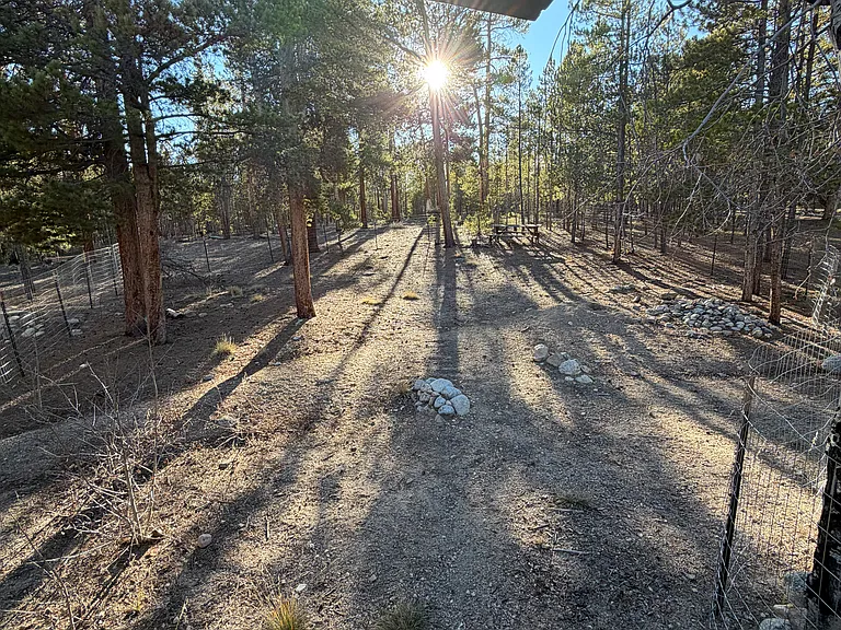 Dog yard!