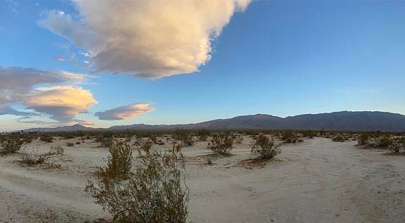 2nd image of Rango Way