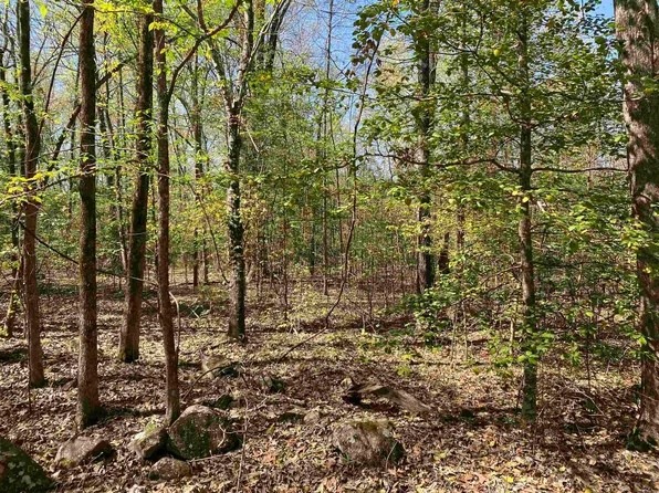 Creek Side Rd, Mount Ida, AR 71957