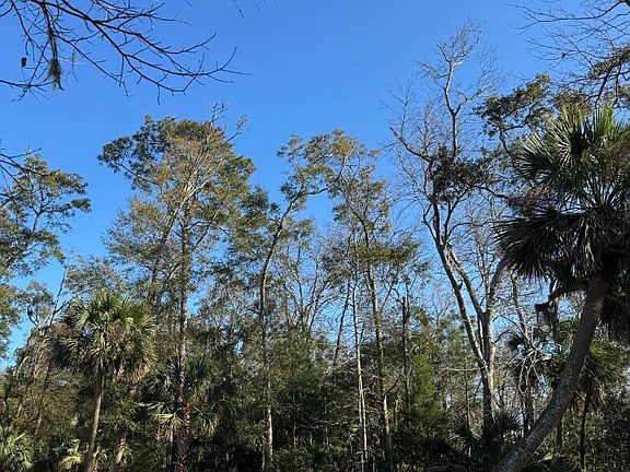 5th image of 8785 Palmetto Rd