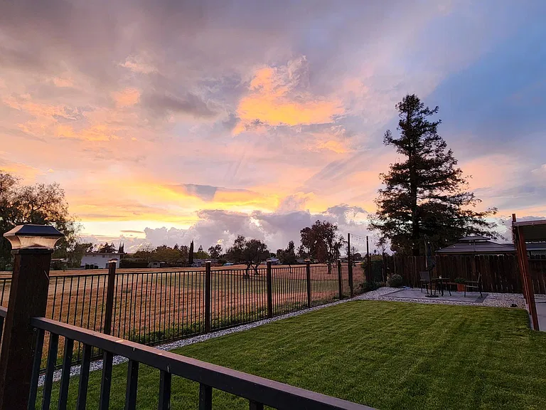 Back yard