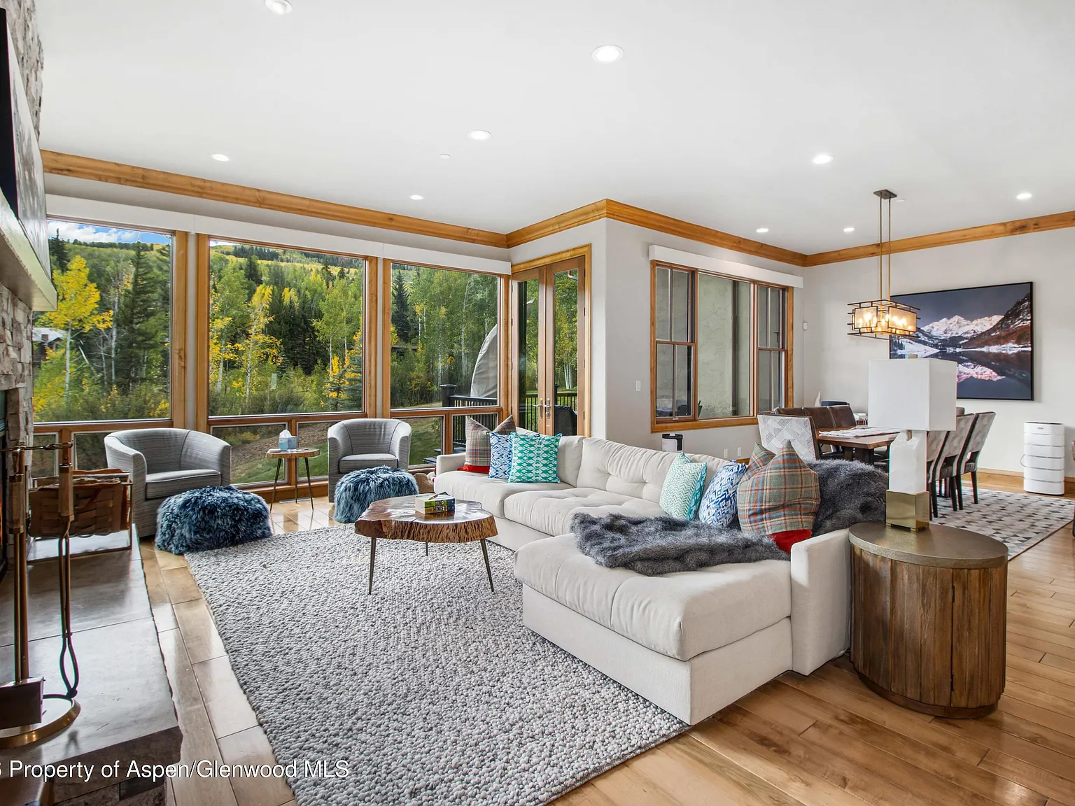 4 bed, 4.5 bath, 3631 sqft, $60,000 — Photo 3
