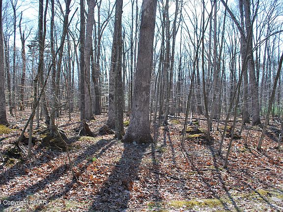 2nd image of D6 White Oak Dr E