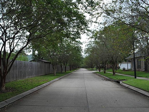 Crepe mrytle lined street.