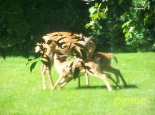 W925 Dunphy Rd, Albany, WI 53502