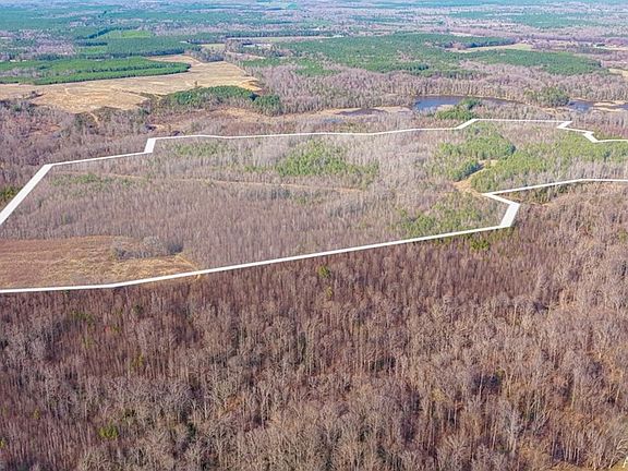 2nd image of Tm 9 19 Trigger Ln